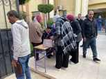 شوبير: المشاركة في الانتخابات الرئاسية واجب وطني