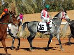 مهرجان كأس "خليفة بن زايد" للخيول أول أبريل بمصر بمجموع جوائز 490 ألف جنيه