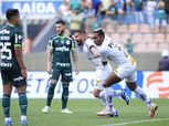 سانتوس يقلب الطاولة على بالميراس بثنائية في قمة الدوري البرازيلي