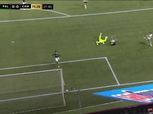 بالميراس البرازيلي يصعد لربع نهائي كوبا ليبرتادوريس على حساب مينيرو