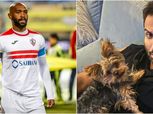 فهمي روق المرحوم وشيكا الملك.. خناقة جماهير الأهلي والزمالك على تويتر