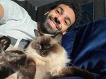 في يومها العالمي.. محمد صلاح أبرز نجوم الكرة دفاعًا عن الحيوانات