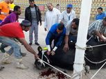 بالصور| صبحي يذبح عجل بعد عودتة من الإصابة