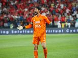فيتوريا: انضمام محمد الشناوي لمنتخب مصر بعد تأكيد طبيب الأهلي جاهزيته