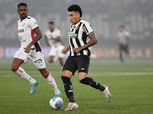 منافس الأهلي المحتمل..بوتافوجو يتعادل مع فيتوريا ويفقد صدارة الدوري