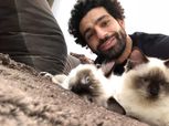 بالصور| محمد صلاح يدافع عن حقوق الحيوانات