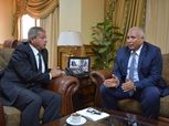 وزير الرياضة يلتقي محافظ الوادى الجديد