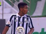جوهرة جديدة تشعل ملاعب البرازيل وتتقدم على بيليه