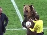 بالفيديو| دب يفتتح مباراة بالدوري الروسي