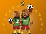 تقارير: الكاميرون تطلب تأجيل كأس أمم أفريقيا للمحليين بسبب كورونا