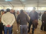 حازم إمام والجنايني وثنائي إدارة الأهلي يصوتون في انتخابات الجزيرة