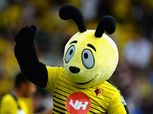 بالفيديو| تميمة واتفورد تسخر من "زاها".. و"ألاردايس" يطالب الاتحاد الإنجليزي برد فعل