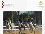 استئناف نشاط الموسم الشتوي بمهرجان الخيول العربية المصرية