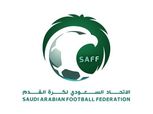 حقيقة التنظيم المشترك لكأس العالم 2030 مع مصر.. الاتحاد السعودي يوضح