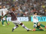 بهدف جون أرياس.. فلومينينيسي يفوز على بالميراس بالدوري البرازيلي