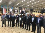 وزير الرياضة و"حطب" يكرمان فرسان مصر المتأهلين لأولمبياد طوكيو