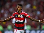 فلامنجو يفوز على بوتافوجو متصدر الدوري البرازيلي بهدفين