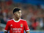 ليفربول يقترب من حسم صفقة فيرنانديز لاعب بنفيكا البرتغالي