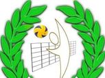رسميًا.. اتحاد الطائرة يعاقب ثلاثي الزمالك والإداري لسفرهم إلى الإمارات دون قرار وزاري