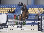 بيان رسمي.. إيقاف مجلس إدارة الاتحاد المصري للفروسية