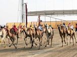 وزير الشباب والرياضة ومحافظ شمال سيناء يفتتحان بطولة العريش للهجن