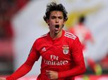 الأغلى في تاريخ النادي| أتليتكو مدريد يُعلن تعاقده مع جواو فيليكس رسميًا