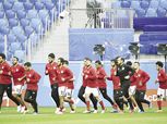 جروس يتحدث عن أداء منتخب مصر فى كأس العالم