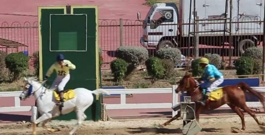 نتائج مهرجان الخيول العربية الأصيلة.. الجواد راغد يقتنص جائزة العتبة «صور»