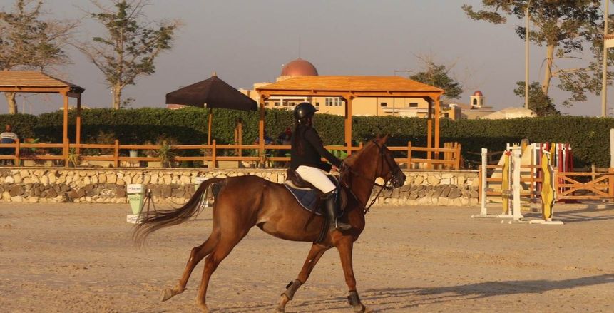 اليوم .. قرعة التصفيات النهائية المؤهلة لبطولة كأس العالم لالتقاط الأوتاد
