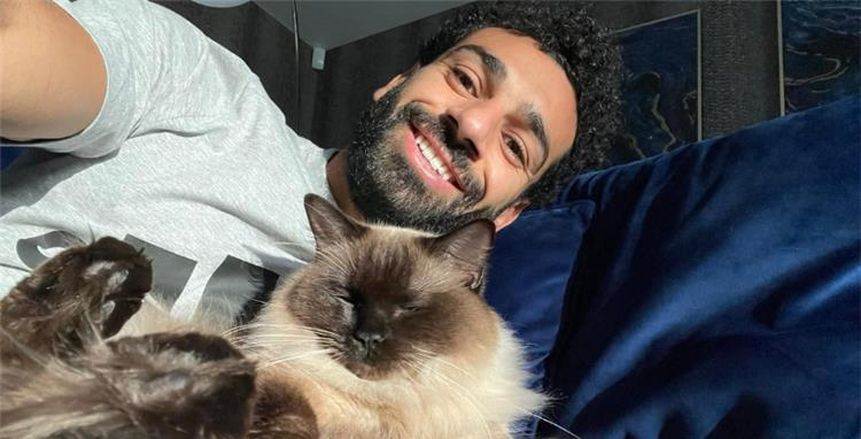 في يومها العالمي.. محمد صلاح أبرز نجوم الكرة دفاعًا عن الحيوانات
