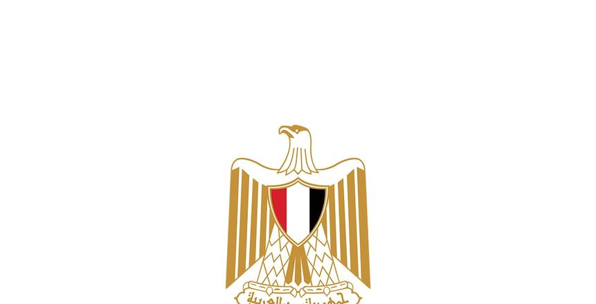 اللجان الرقابية بوزارة الشباب والرياضة تبدأ التفتيش المالي والإداري للهيئات الرياضية