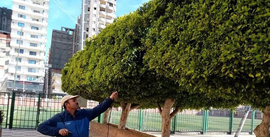 حملات تطهير وتعقيم لمراكز الشباب بالإسكندرية لمواجهة فيروس كورونا