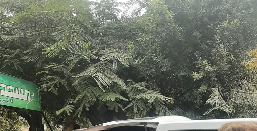 نجوم الرياضة في تشييع جنازة إبراهيم حجازي.. الخطيب وغالي وميدو أبرز الحضور
