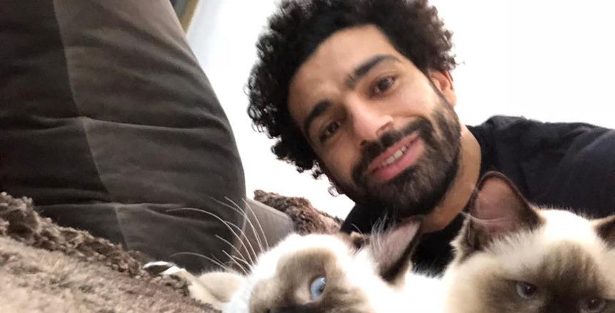 بالصور| محمد صلاح يدافع عن حقوق الحيوانات