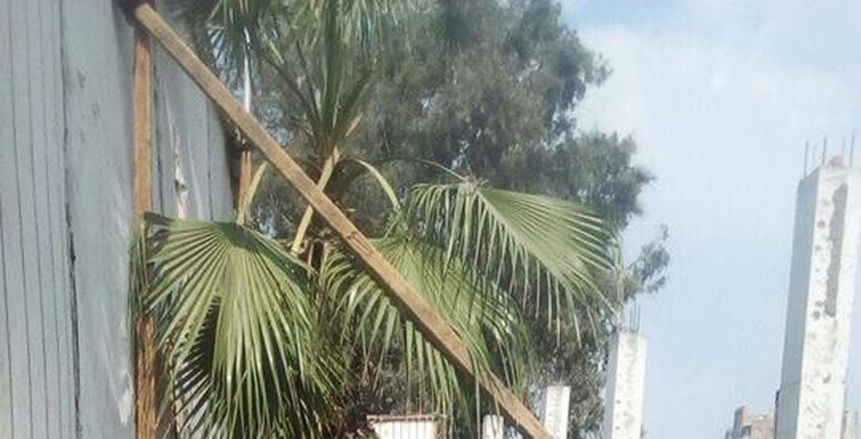 «تنفيذية الزمالك»: 7 ملايين جنيه غرامات النادي بعد إزالة السور المخالف