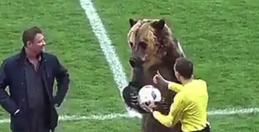 بالفيديو| دب يفتتح مباراة بالدوري الروسي
