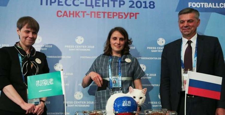 بالصور.. قط أصم يتوقع انتصار روسيا على السعودية في افتتاح المونديال