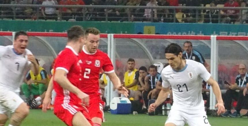 بالفيديو| «كافاني» يهز شباك ويلز في لقاءه الـ100 مع أوروجواي