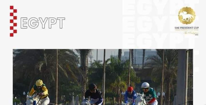 استئناف نشاط الموسم الشتوي بمهرجان الخيول العربية المصرية