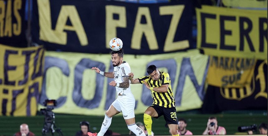 منافس الأهلي المحتمل.. مشوار بوتافوجو قبل نهائي «ليبرتادوريس»