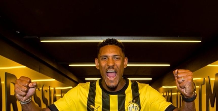 بوروسيا دورتموند يعلن التعاقد مع سيباستيان هالر لمدة 4 مواسم