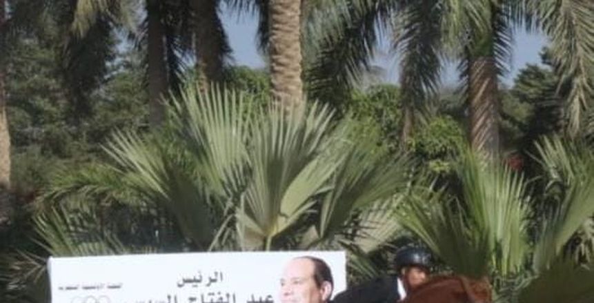 تحت شعار كلنا معاك.. 22 فارسًا فى نهائى الجائزة الكبرى للفروسية بسقارة