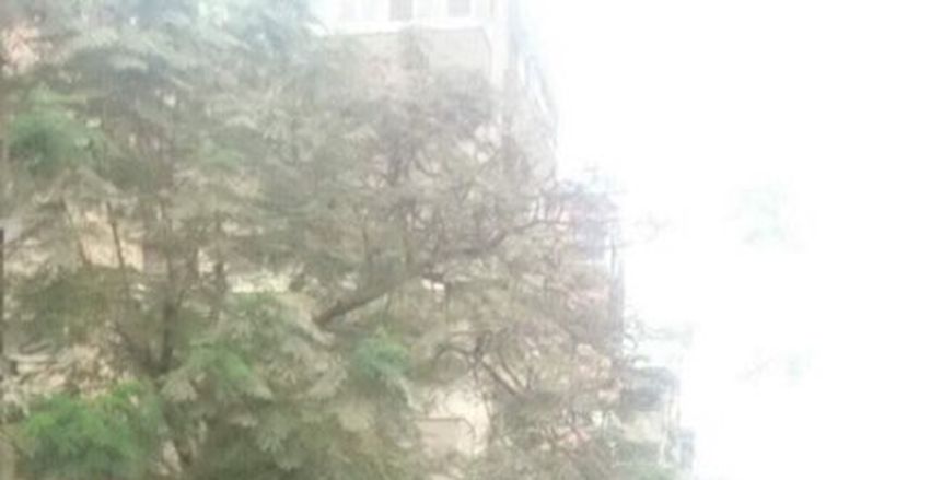 الزمالك يطلب حضور 20 ألف فى الكونفيدرالية