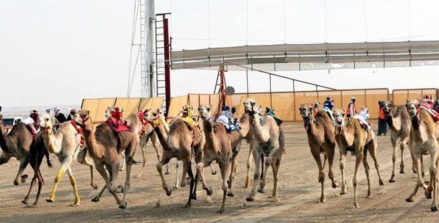 وزير الشباب والرياضة ومحافظ شمال سيناء يفتتحان بطولة العريش للهجن