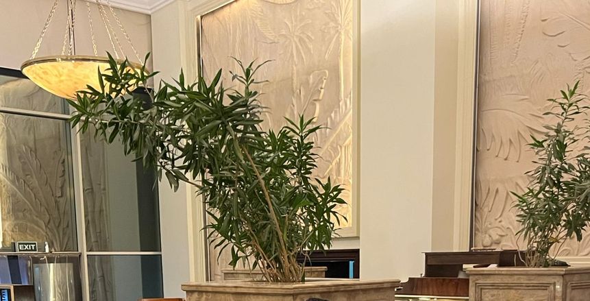 تفاصيل جلسة وزير الرياضة وأبو ريدة مع محمد صلاح في معسكر منتخب مصر