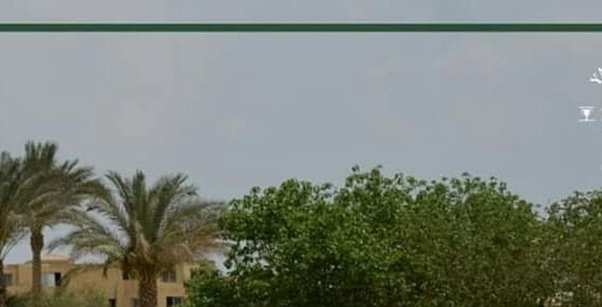 صراع رباعى على كأس ياسين منصور للجولف وأيمن وعمرو شبانة فى الصورة